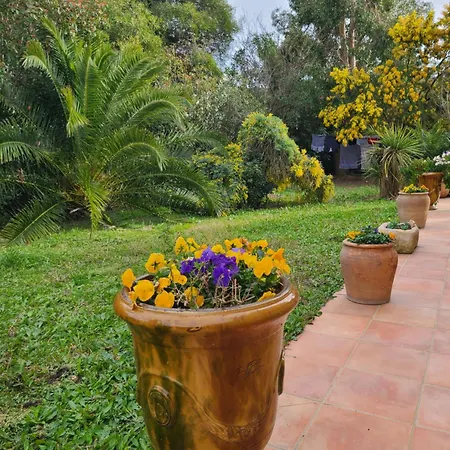 Aurea Villa *