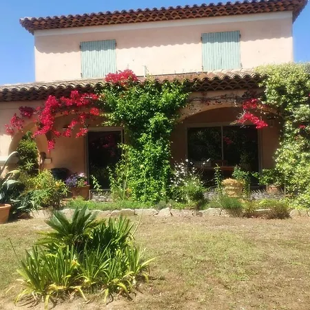 Aurea Villa